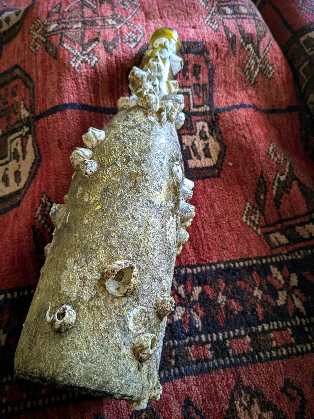 Barnacle Covered Bottle 2