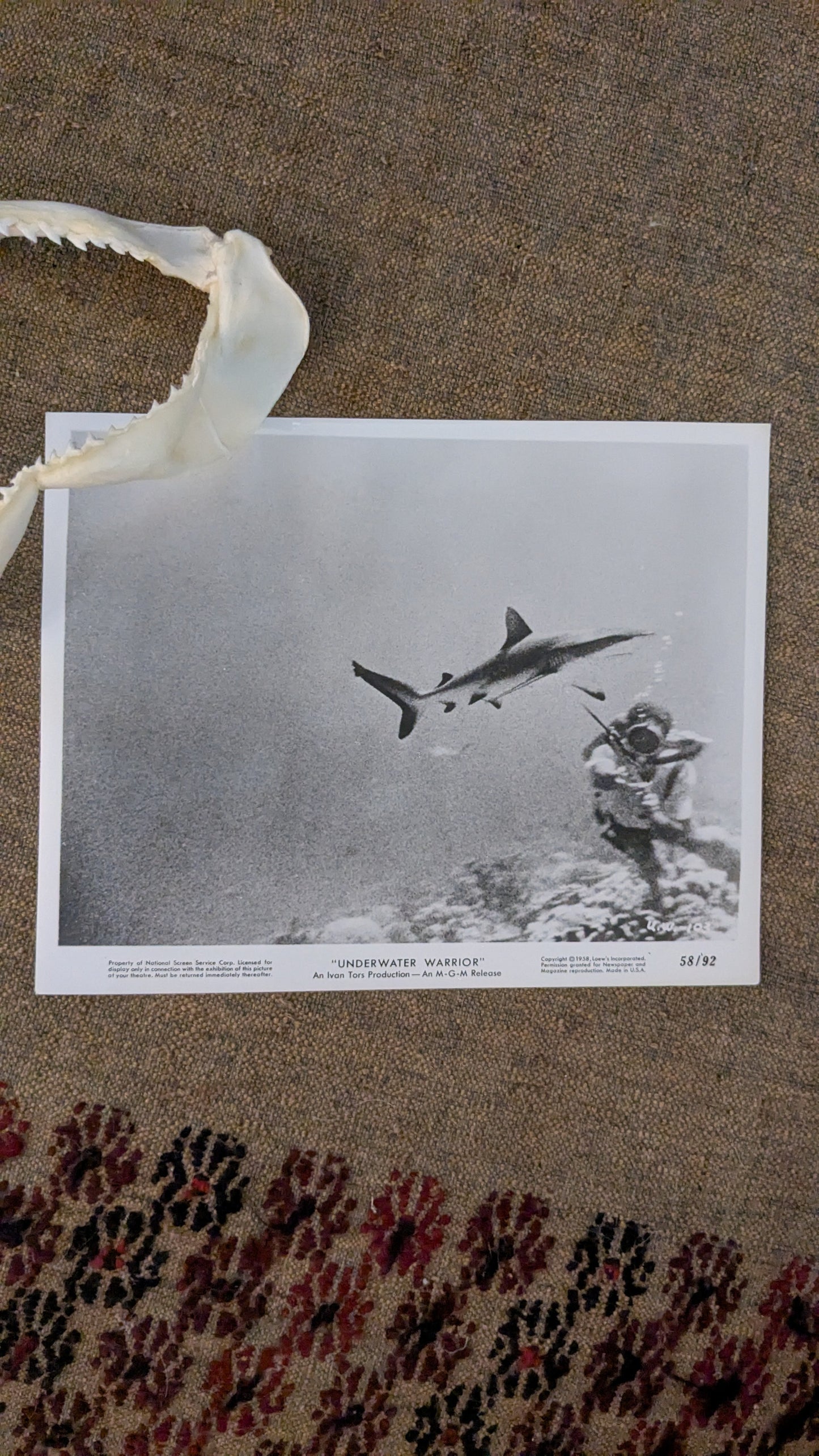 "Underwater Warrior" Press Photo