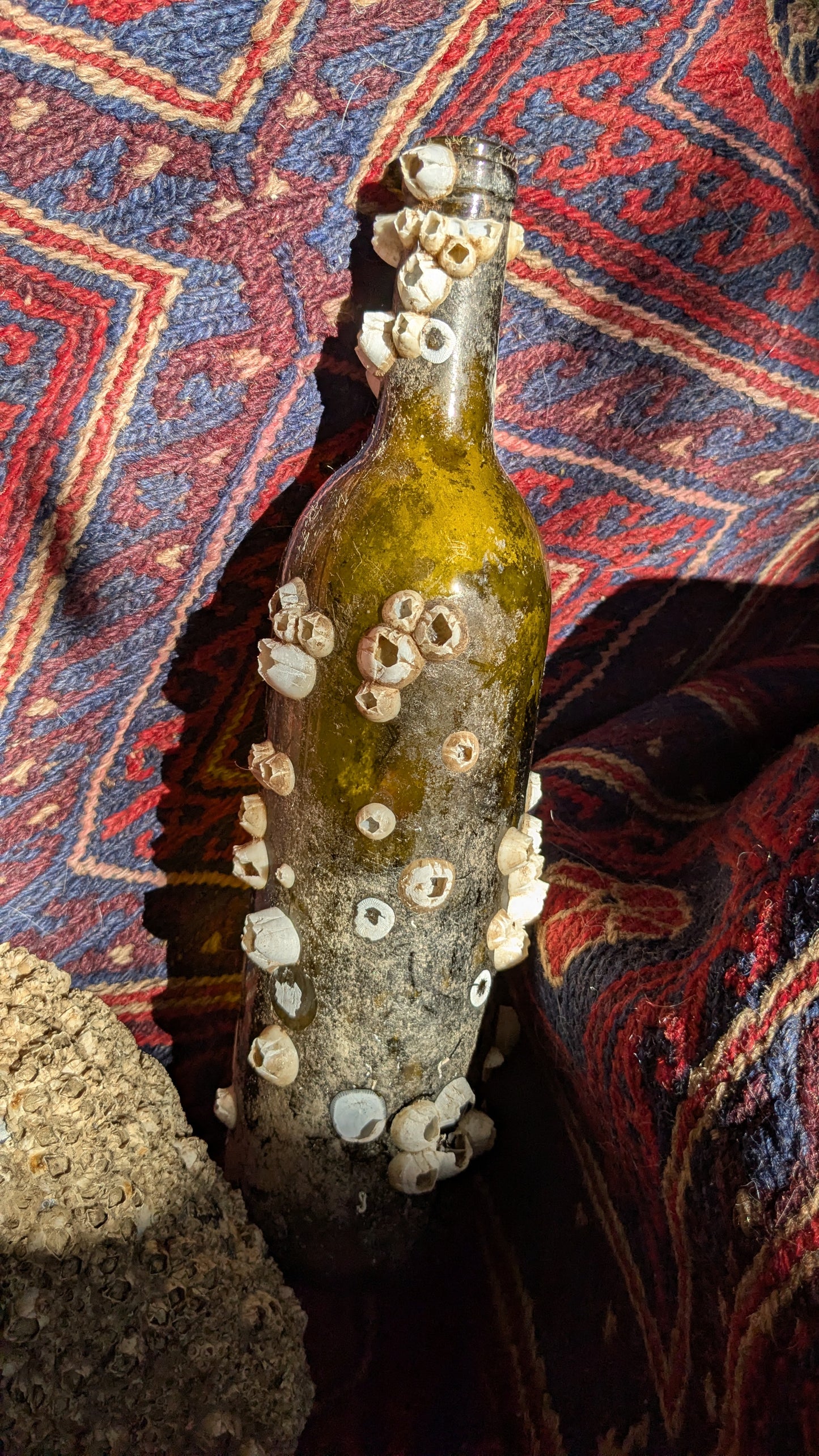 Barnacled Glass Wine Bottle