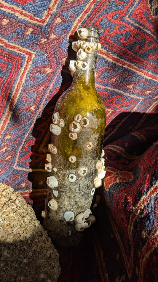 Barnacled Glass Wine Bottle