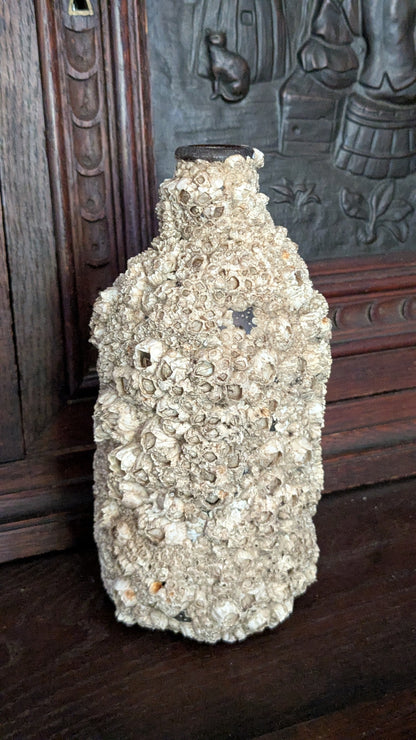 Barnacle Crusted Bottle