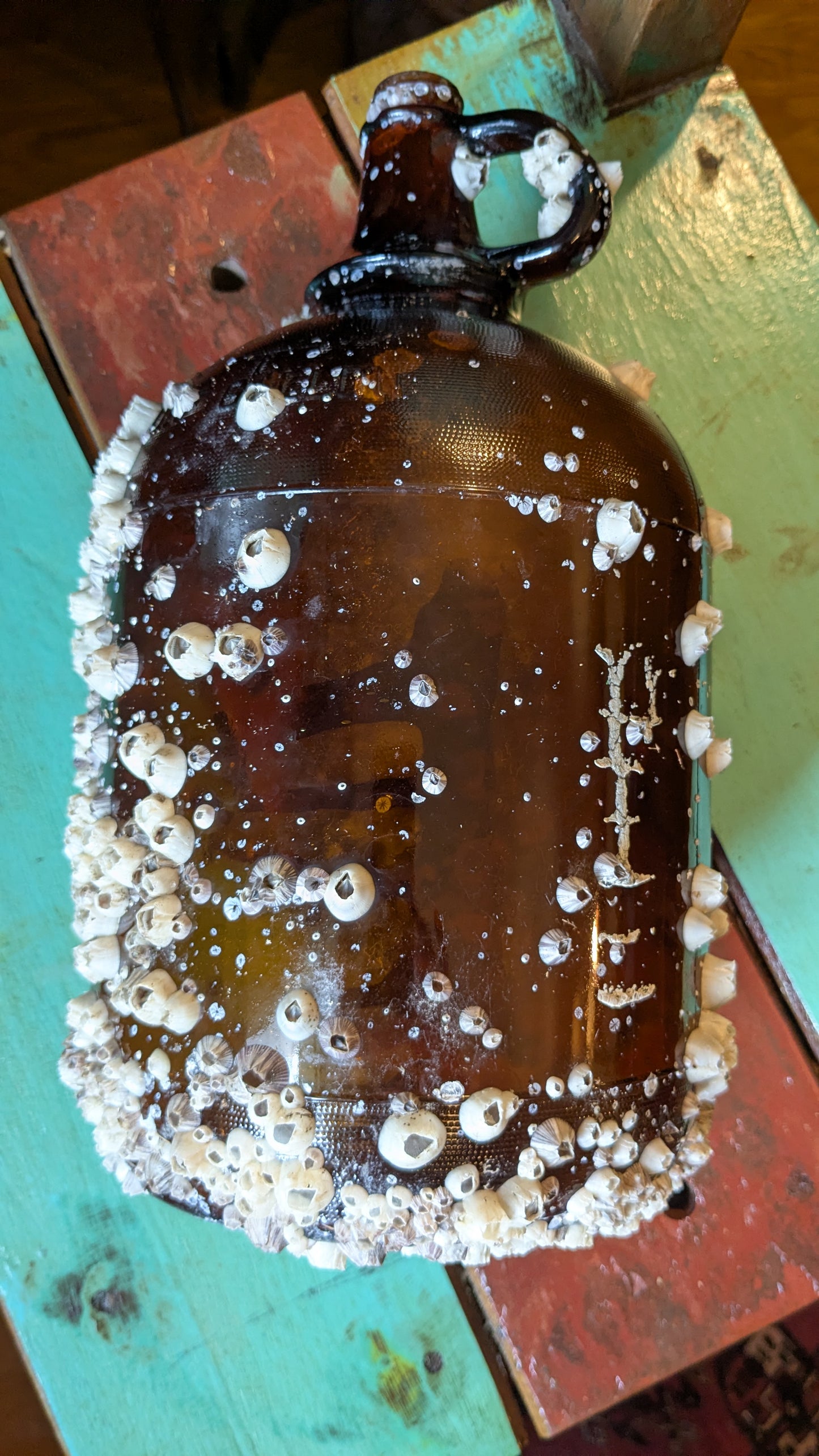 Barnacle Covered Glass Jug