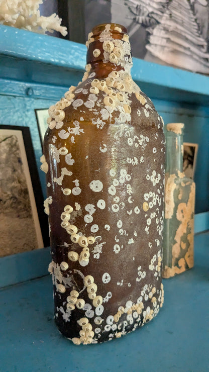 Authentic Barnacle Covered Glass Bottle