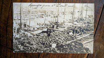 Tarpon Springs Postcard