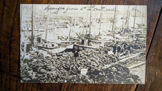 Tarpon Springs Postcard