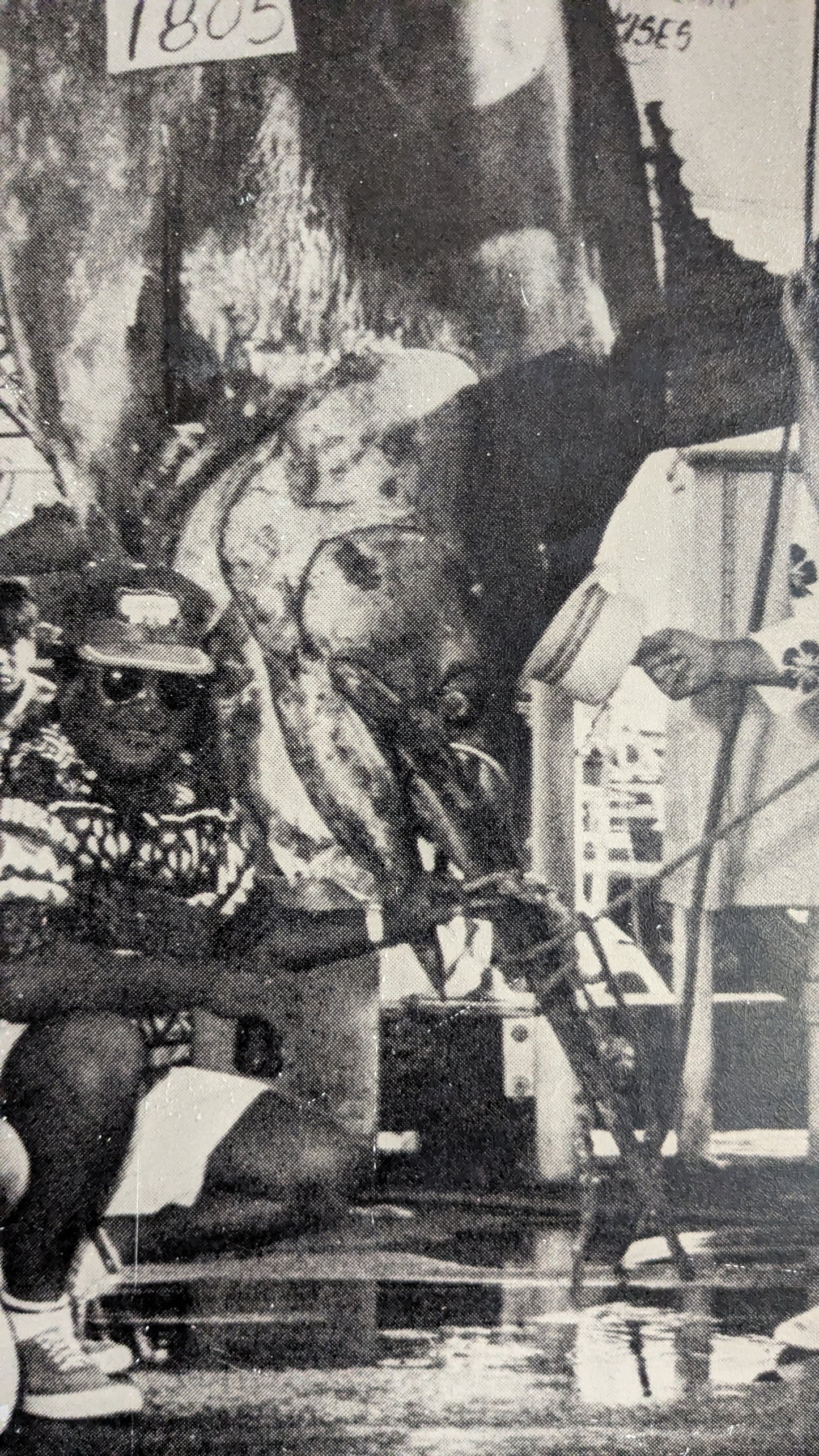 Vintage Hawaiian Fishing Photo