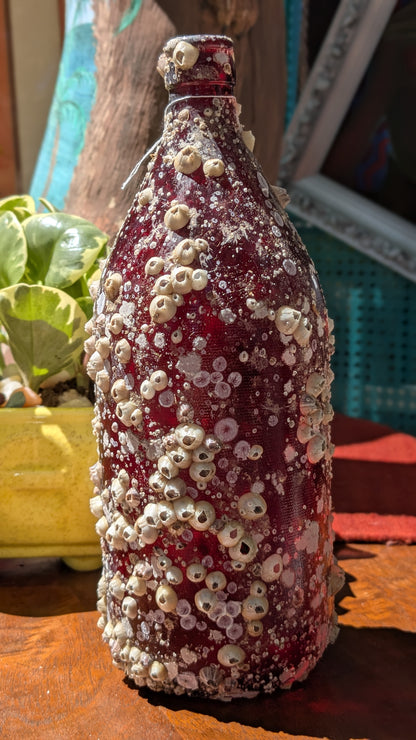 Barnacle Bottle B