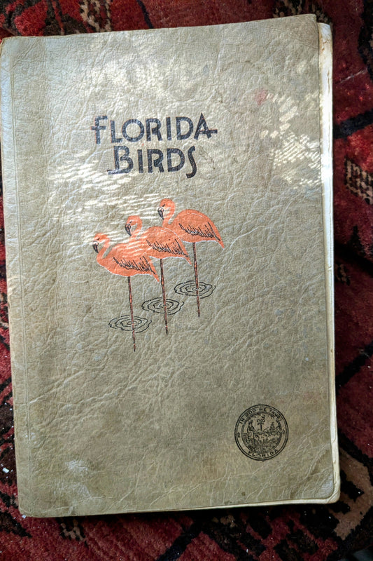 Florida Birds