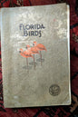 Florida Birds