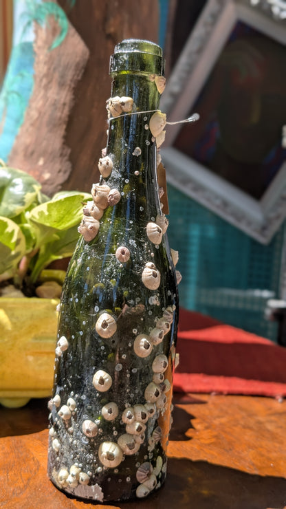 Barnacle Bottle C