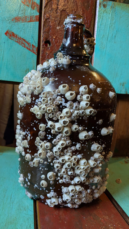 Barnacle Covered Glass Jug