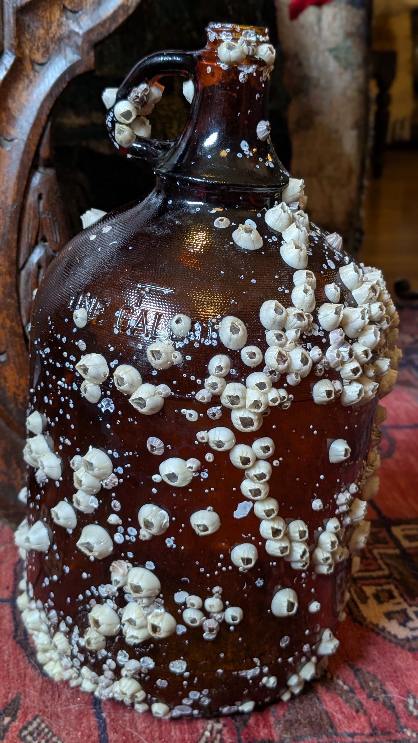 Barnacle Covered Glass Jug