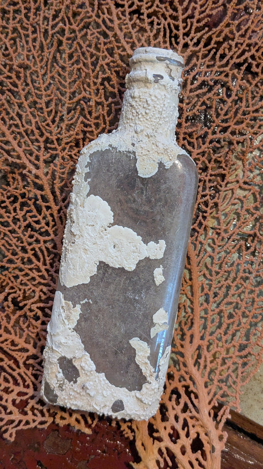 Bottle from the sea