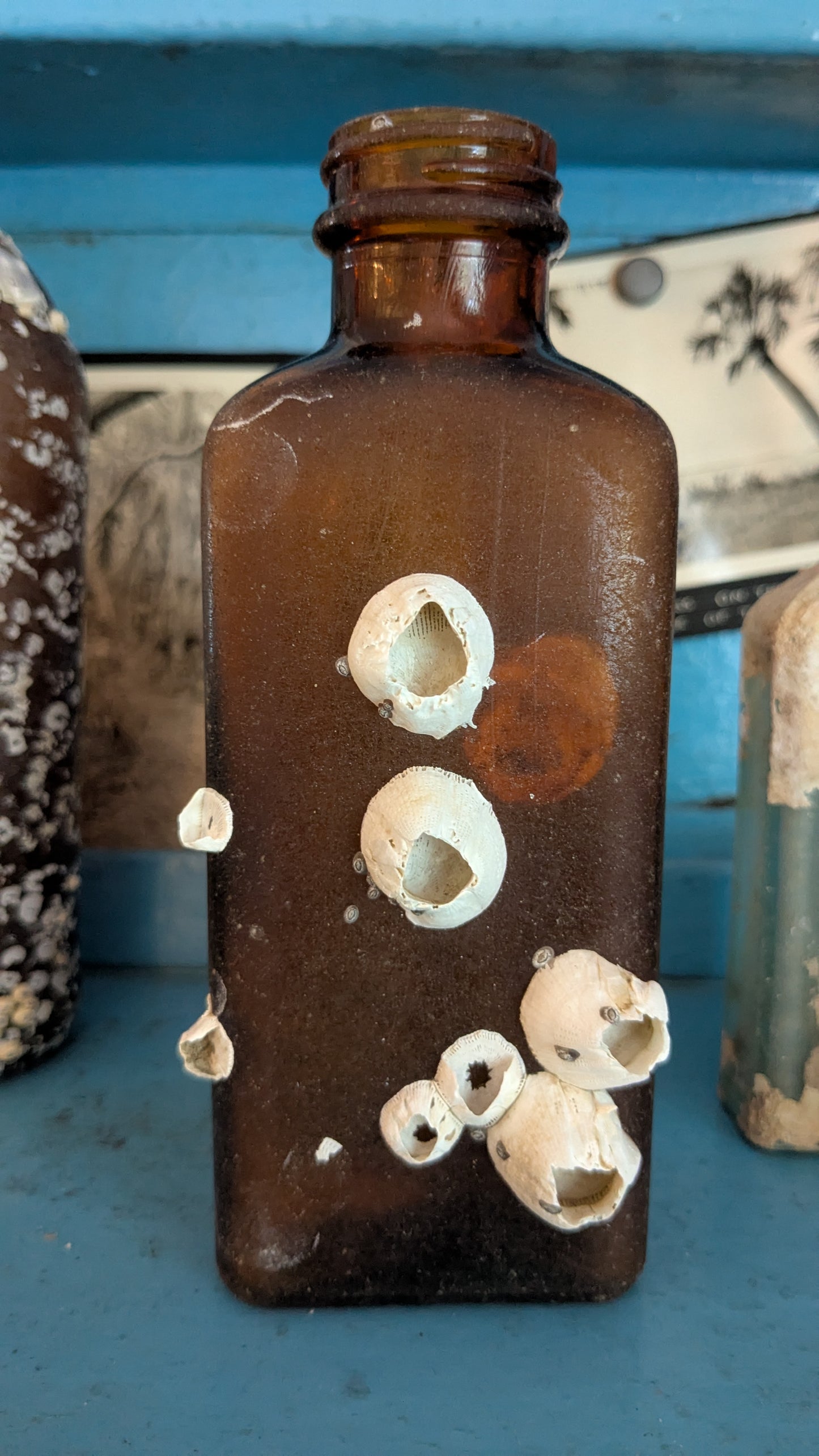 Barnacle Crusted Bottle