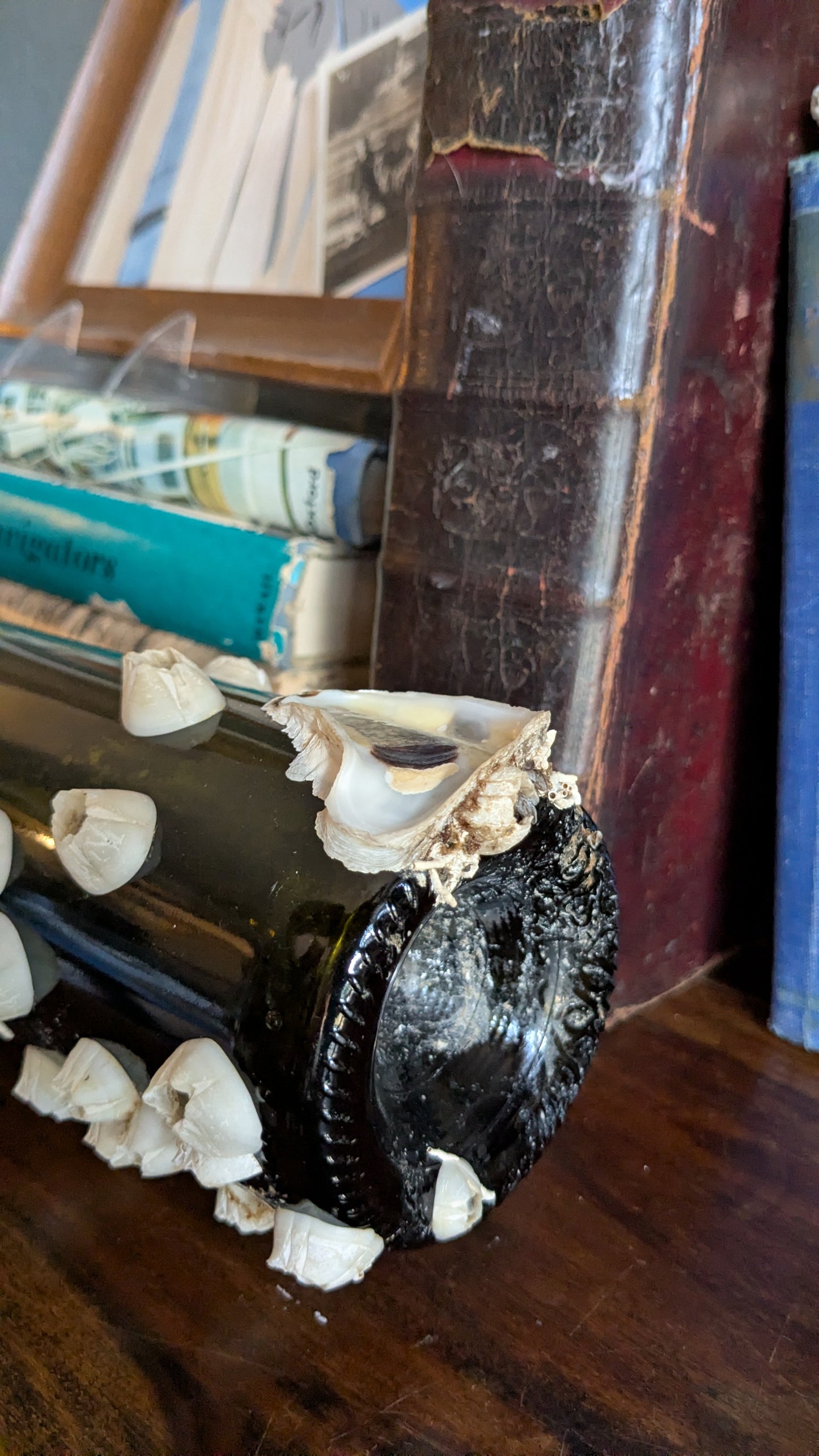 Authentic Barnacle and Oyster Covered Bottle