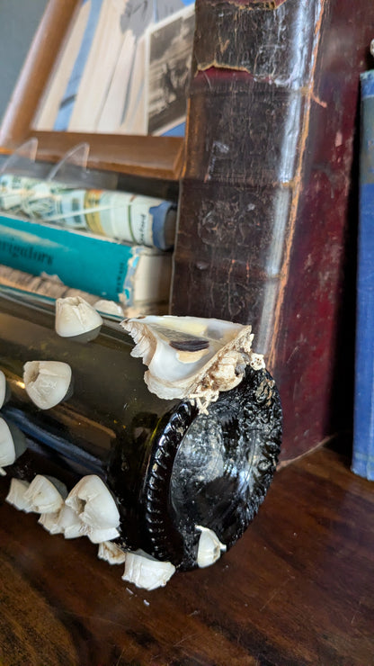 Authentic Barnacle and Oyster Covered Bottle