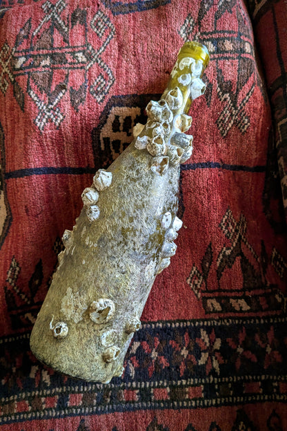 Barnacle Covered Bottle 2