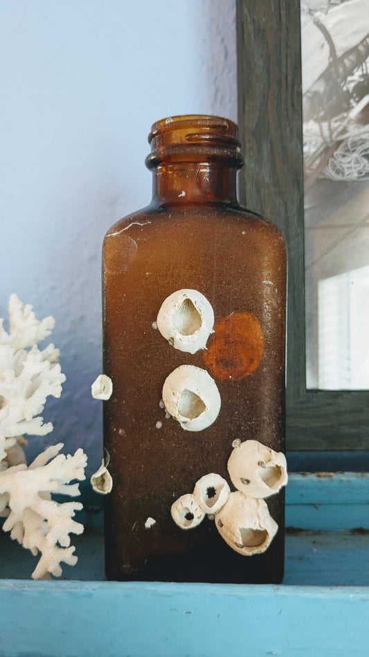Barnacle Crusted Bottle