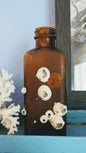 Barnacle Crusted Bottle