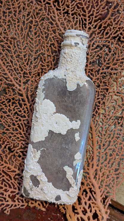 Bottle from the sea
