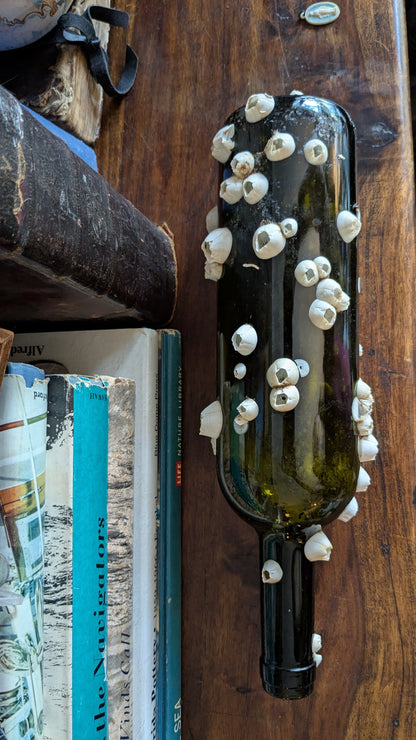 Authentic Barnacle and Oyster Covered Bottle