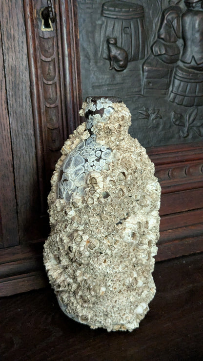 Barnacle Crusted Bottle
