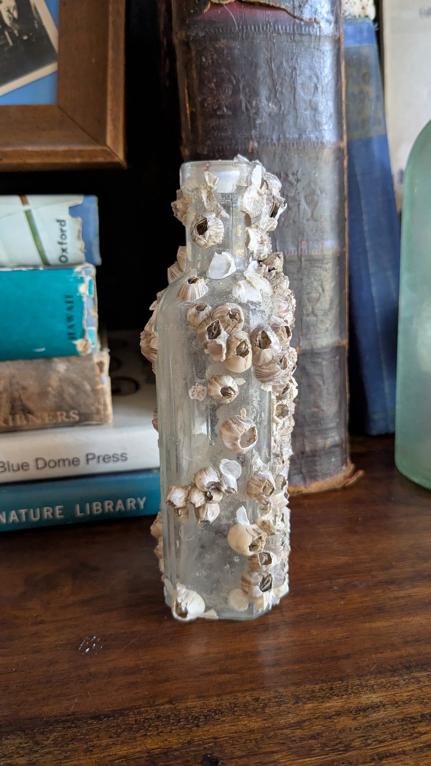 Barnacle Crusted Antique Bottle