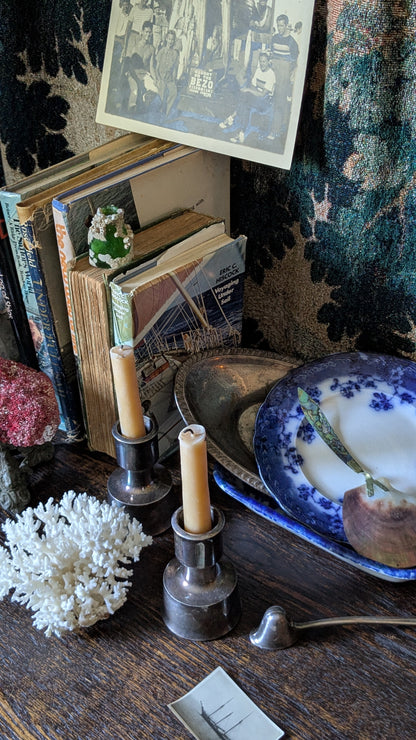 Blue and White Brunswick Plate
