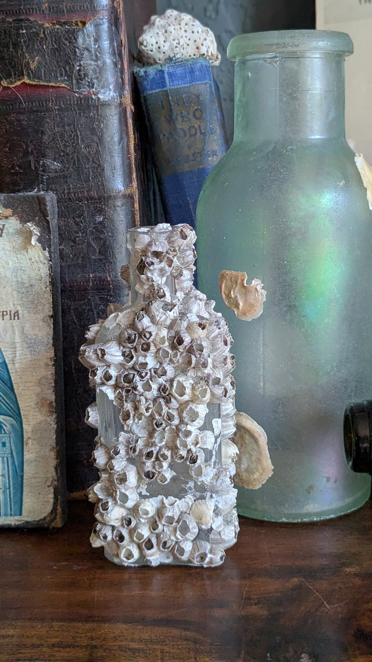 Barnacle Crusted Antique Bottle