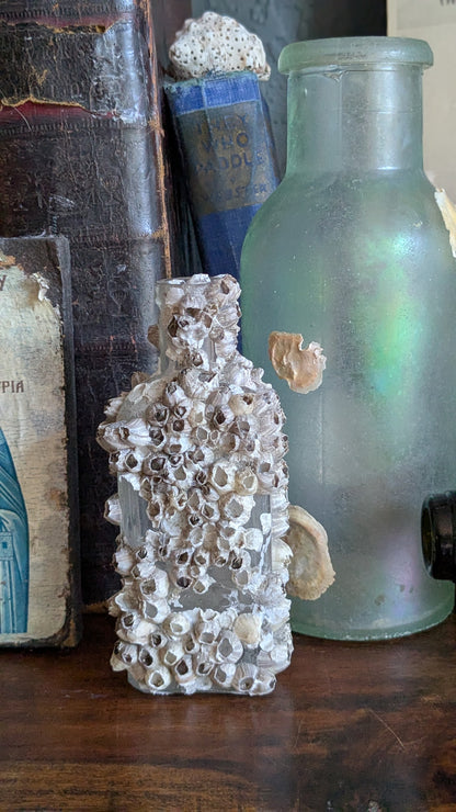 Barnacle Crusted Antique Bottle