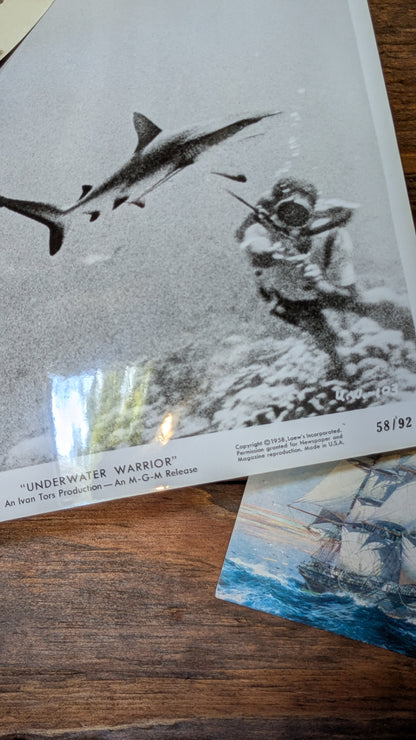 "Underwater Warrior" Press Photo