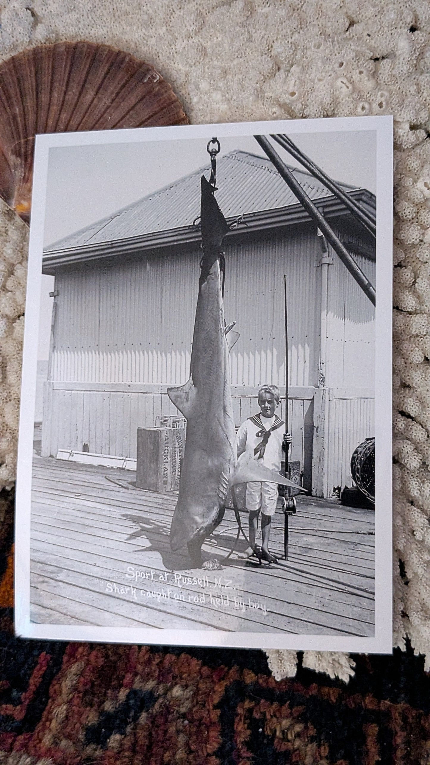 Big Catch and Small Boy