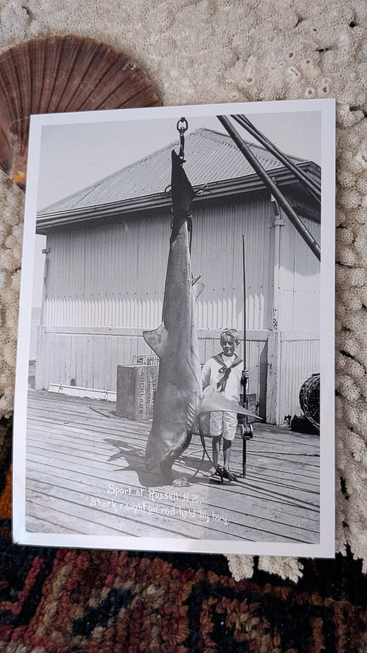 Big Catch and Small Boy