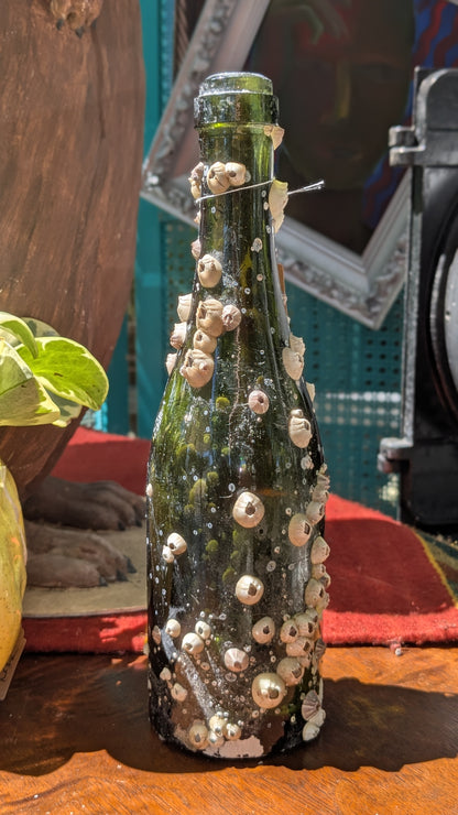 Barnacle Bottle C