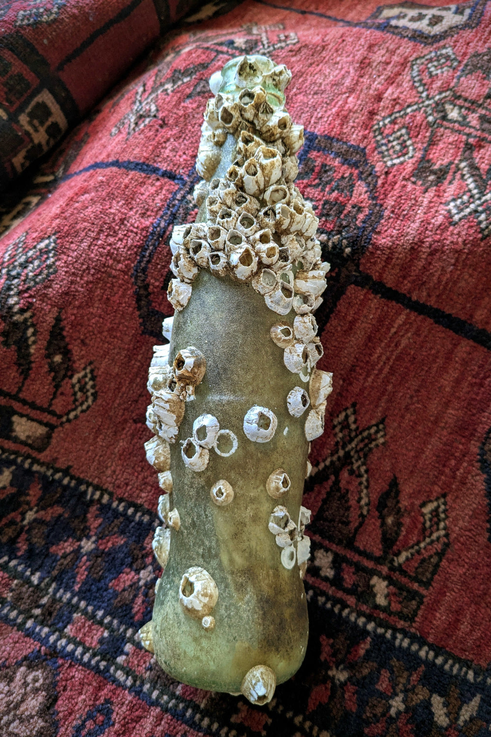 Barnacle Covered Bottle 3