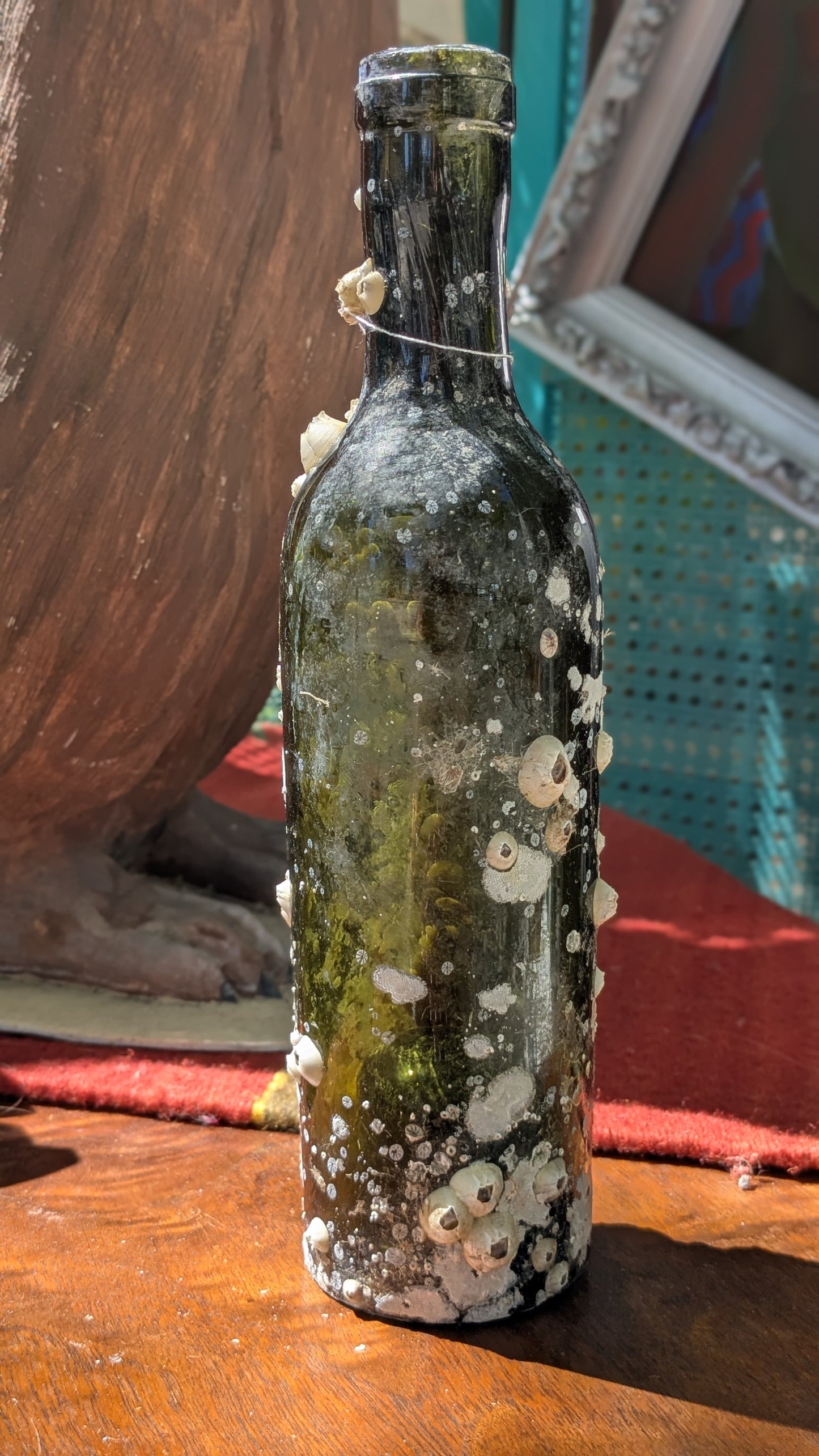 Barnacle Bottle E