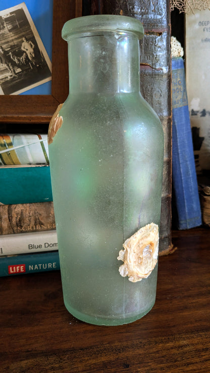 Antique Bottle with Barnacle Deposits