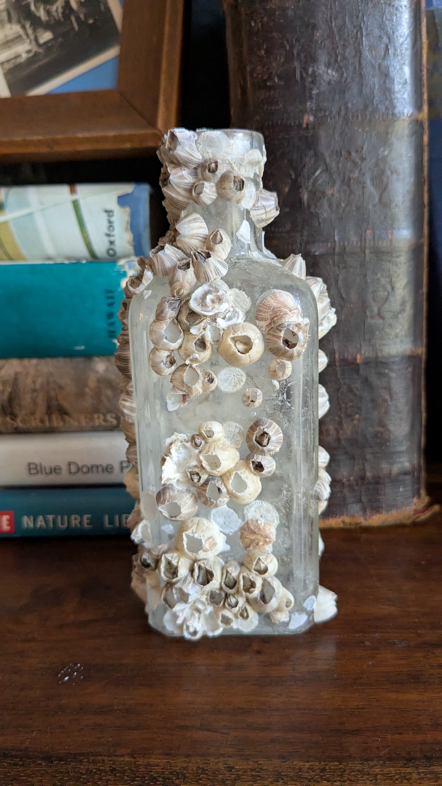 Barnacle Crusted Antique Bottle
