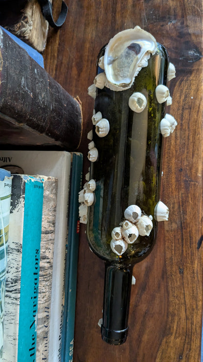 Authentic Barnacle and Oyster Covered Bottle