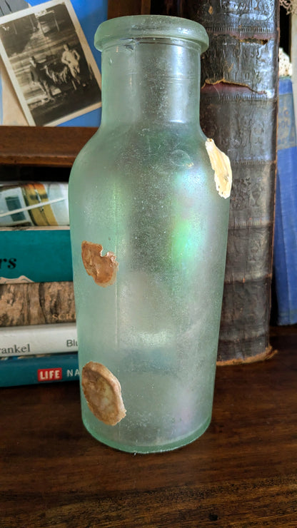 Antique Bottle with Barnacle Deposits