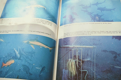 The Shark: Splendid Savage of the Sea by Jacques-Yves Cousteau