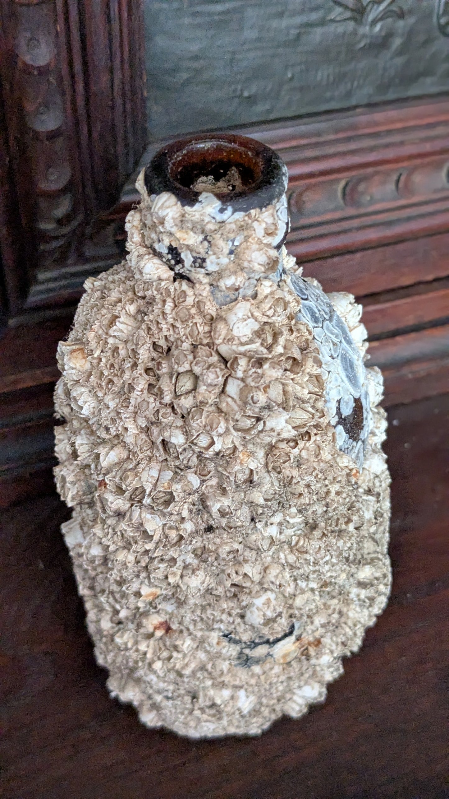 Barnacle Crusted Bottle