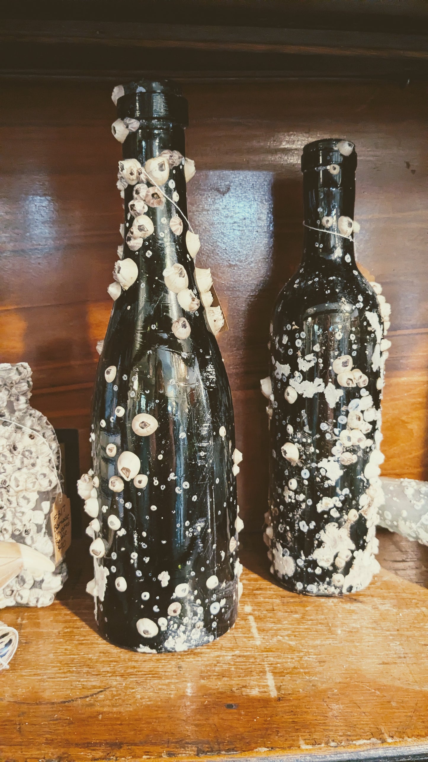 Barnacle Bottle C