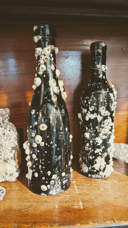 Barnacle Bottle C