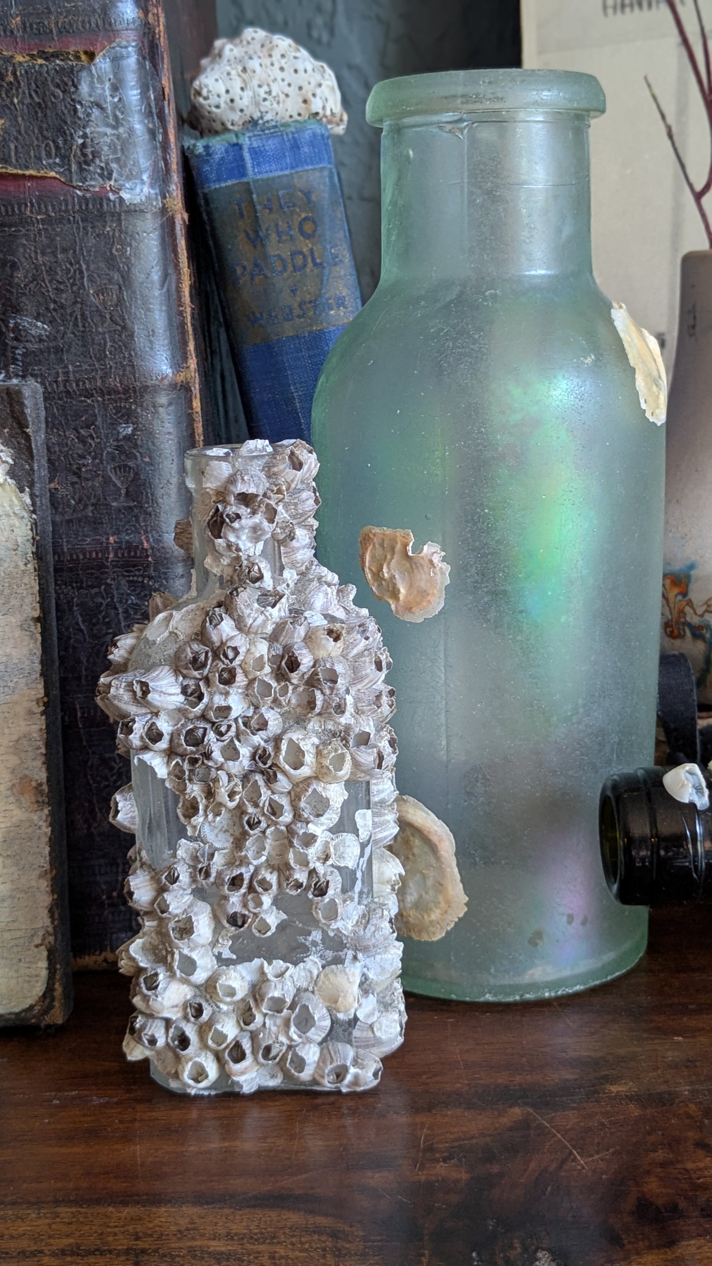 Antique Bottle with Barnacle Deposits