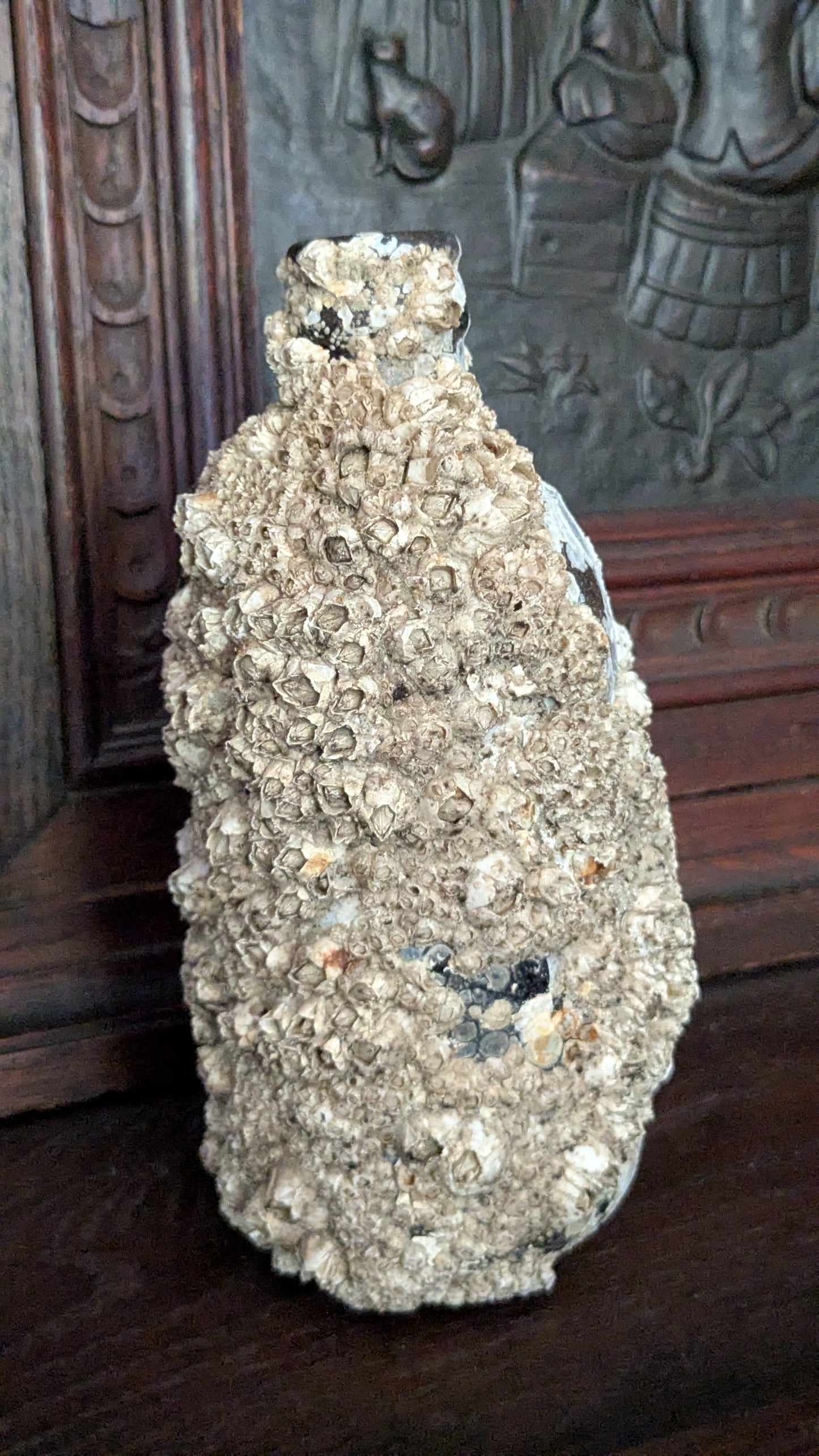 Barnacle Crusted Bottle