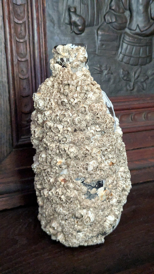 Barnacle Crusted Bottle
