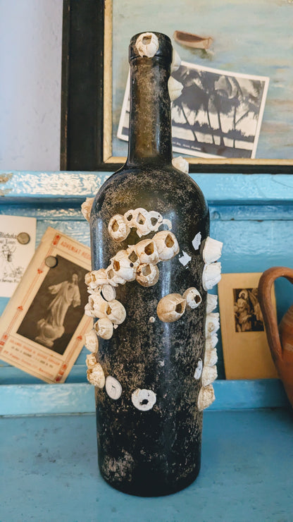 Barnacle Covered Bottle