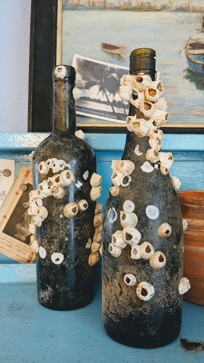 Authentic Barnacle Covered Bottle