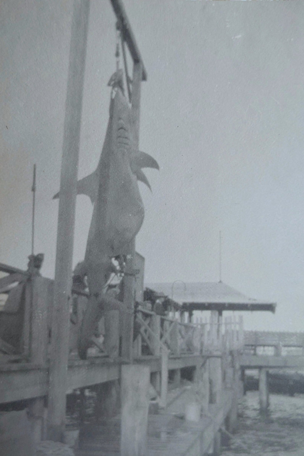 Big Catch